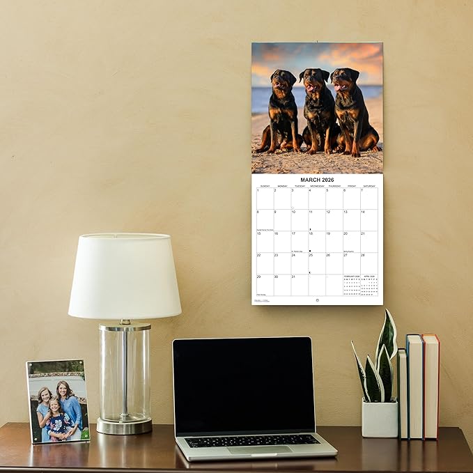 2026 Rottweilers Monthly Wall Calendar | Dogs Calendar September 2025 - December 2026