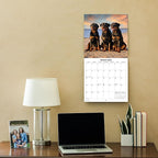 2026 Rottweilers Monthly Wall Calendar | Dogs Calendar September 2025 - December 2026