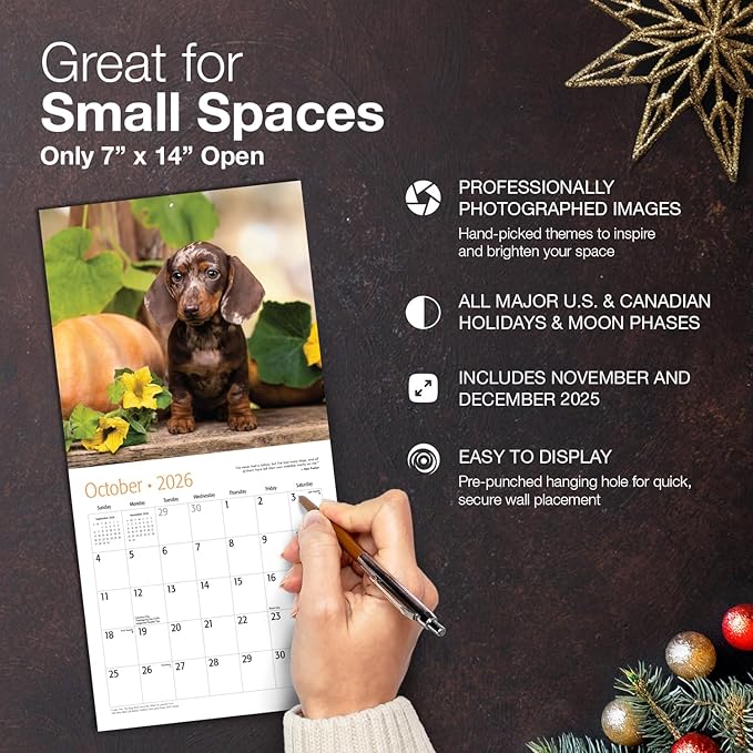 MICASA PRESS Dachshund Puppies 2026 Mini Wall Calendar 12 Month | 7" x 14" Open | Thick & Sturdy Paper | Holiday Gift | Cute Puppy Weiner Dog Calendar 2026