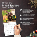 MICASA PRESS Dachshund Puppies 2026 Mini Wall Calendar 12 Month | 7" x 14" Open | Thick & Sturdy Paper | Holiday Gift | Cute Puppy Weiner Dog Calendar 2026