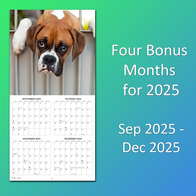 2026 Boxers Monthly Wall Calendar | Boxer Dog Breed 2026 Wall Calendar 2025-2026