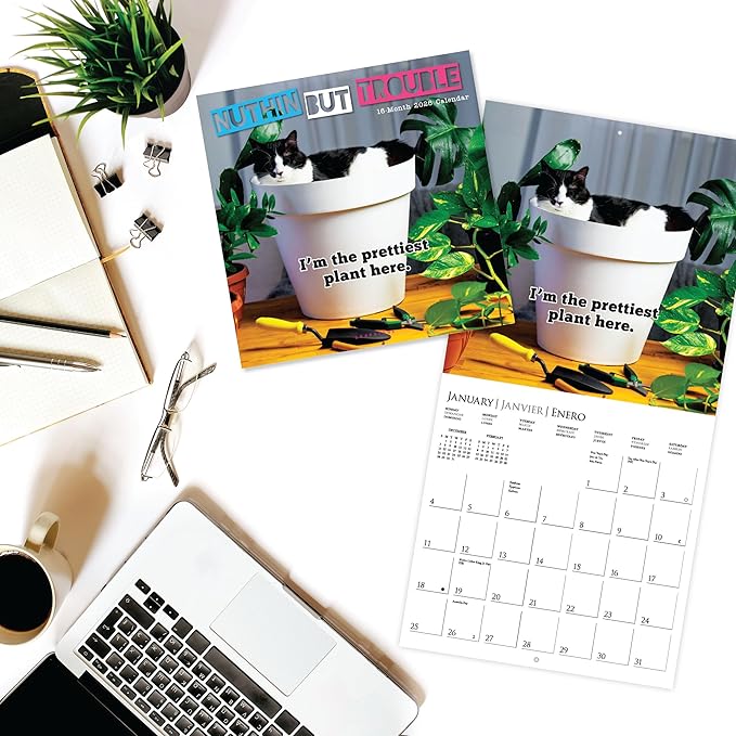 Graphique 2026 Nuthin' But Trouble Wall Calendar | 12” x 12” | Thick Paper | Home & Office Organizer | Large Monthly Grid | 3 Languages & Marked Holidays | 4 Month Preview Page for 2027