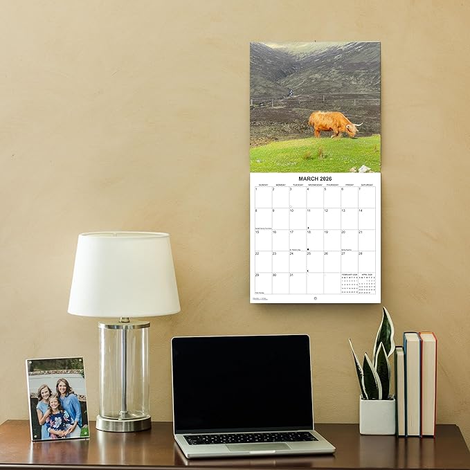 2026 Highland Cows Monthly Wall Calendar | Cute Animals Calendar 2025-2026