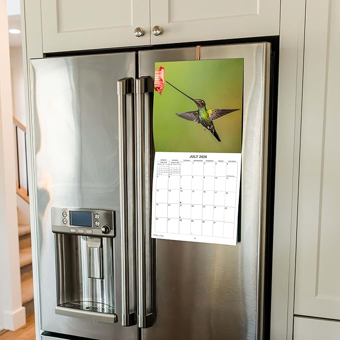 2026 Hummingbirds Monthly Wall Calendar | Animals Calendar 2025-2026