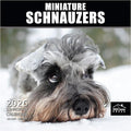MICASA PRESS Miniature Schnauzers 2026 Wall Calendar 12 Month | 12" x 24" Open | Thick & Sturdy Paper | Holiday Gift | Cute Puppy Dog Calendar 2026