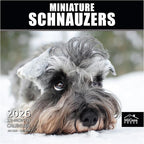MICASA PRESS Miniature Schnauzers 2026 Wall Calendar 12 Month | 12" x 24" Open | Thick & Sturdy Paper | Holiday Gift | Cute Puppy Dog Calendar 2026