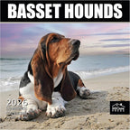 MICASA PRESS Basset Hounds 2026 Wall Calendar 12 Month | 12" x 24" Open | Thick & Sturdy Paper | Holiday Gift | Cute Puppy Dog Calendar 2026