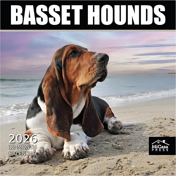 MICASA PRESS Basset Hounds 2026 Wall Calendar 12 Month | 12" x 24" Open | Thick & Sturdy Paper | Holiday Gift | Cute Puppy Dog Calendar 2026