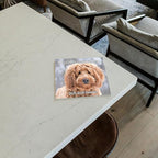2026 Goldendoodles Monthly Wall Calendar | Cute Dog Calendar September 2025 - December 2026