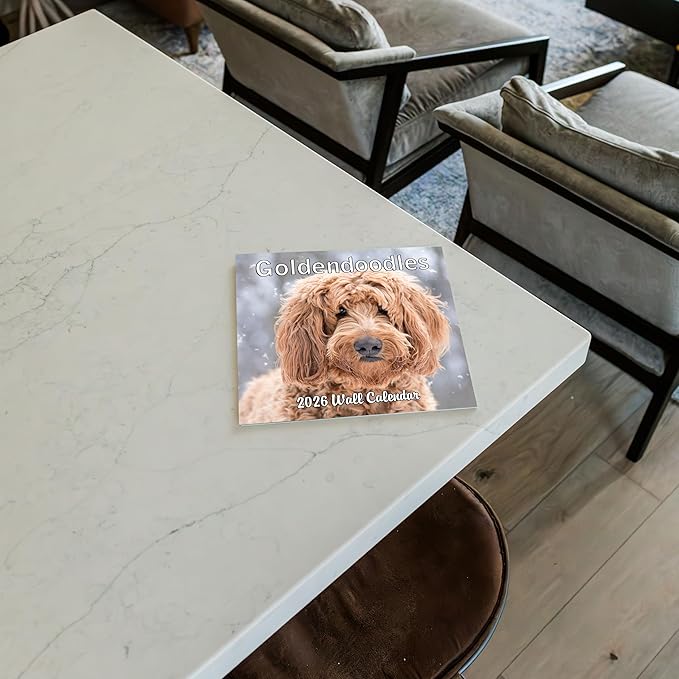 2026 Goldendoodles Monthly Wall Calendar | Cute Dog Calendar September 2025 - December 2026