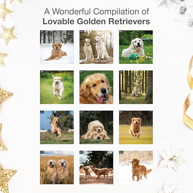 RED EMBER Golden Retrievers 2026 Wall Calendar 12 Month | 12" x 24" Open | Thick & Sturdy Paper | Holiday Gift | Cute Puppy Dog Calendar 2026