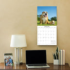 2026 English Bulldogs Monthly Wall Calendar | Cute Dogs Calendar September 2025 - December 2026