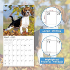 2026 Wall Calendar,Calendar 2026, November 2025 - December 2026, Wall Calendar Beagles, 12" x 24" Opened,Full Page Months Thick & Sturdy Paper for Calendar Organizing & Planning