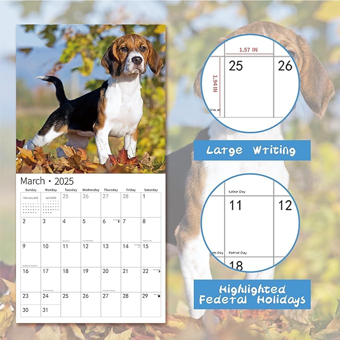 2026 Wall Calendar,Calendar 2026, November 2025 - December 2026, Wall Calendar Beagles, 12" x 24" Opened,Full Page Months Thick & Sturdy Paper for Calendar Organizing & Planning