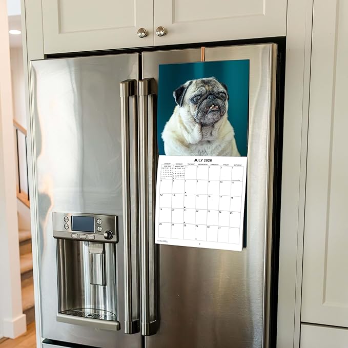 2026 Ugly Dogs Monthly Wall Calendar | Funny White Elephant Gift Gag Gift Calendar September 2025 - December 2026