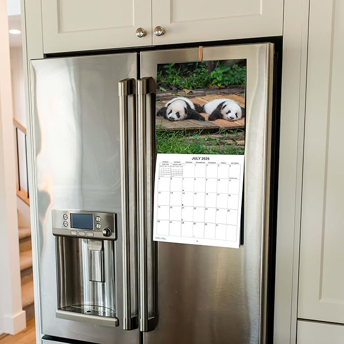 2026 Baby Pandas Monthly Wall Calendar | Cute Baby Animals Calendar 2025-2026