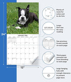2026 Boston Terriers Monthly Wall Calendar | Dog Calendar September 2025- December 2026