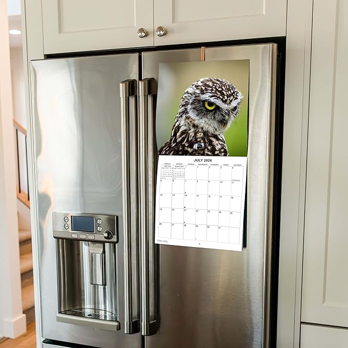 2026 Owls Monthly Wall Calendar | Animals Calendar 2025-2026