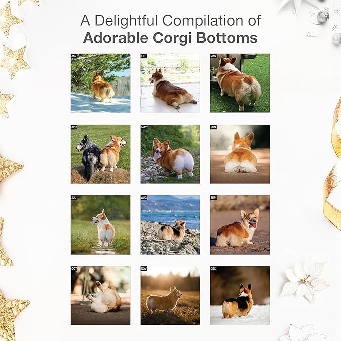 RED EMBER Corgi Butts 2026 Wall Calendar 12 Month | 12" x 24" Open | Thick & Sturdy Paper | Holiday Gift | Funny Cute Puppy Dog Calendar 2026