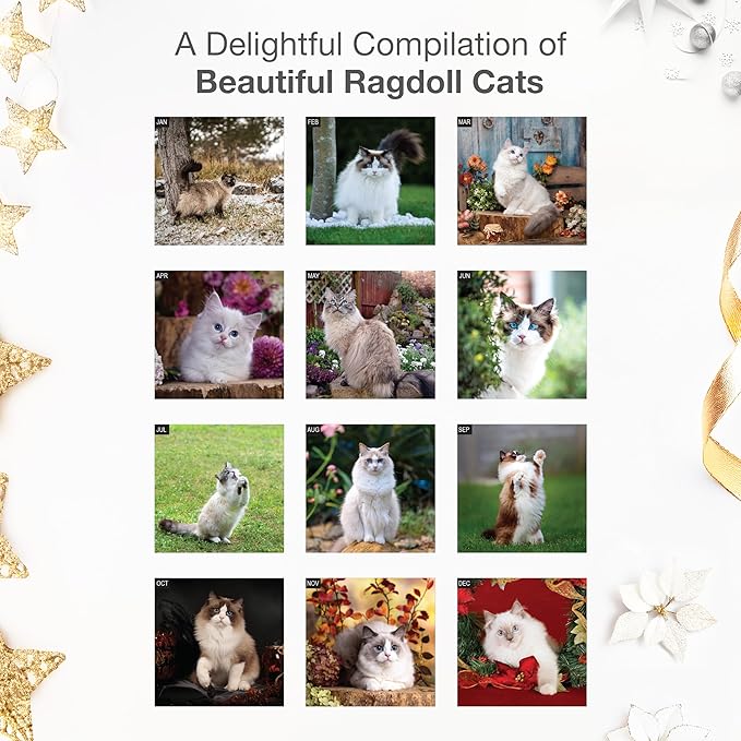 RED EMBER Ragdoll Cats 2026 Wall Calendar 12 Month | 12" x 24" Open | Thick & Sturdy Paper | Holiday Gift | Cute Kitten Cat Calendar 2026