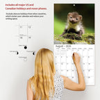 2026 Wall Calendar,Calendar 2026, November 2025 - December 2026, Wall Calendar Baby Animals, 12" x 24" Opened,Full Page Months Thick & Sturdy Paper for Calendar Organizing & Planning