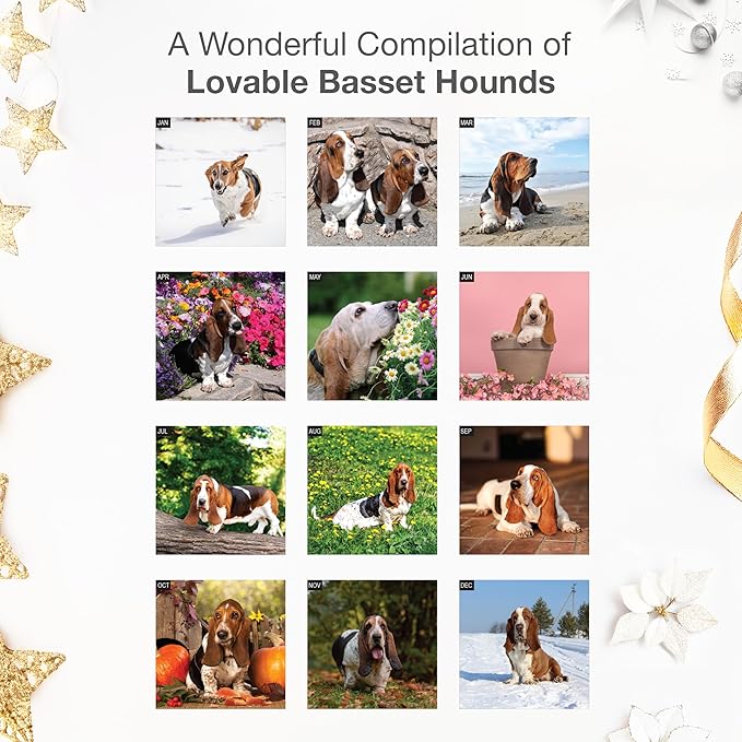 RED EMBER Basset Hounds 2026 Wall Calendar 12 Month | 12" x 24" Open | Thick & Sturdy Paper | Holiday Gift | Cute Puppy Dog Calendar 2026