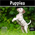 MICASA PRESS Puppies 2026 Wall Calendar 12 Month | 12" x 24" Open | Thick & Sturdy Paper | Holiday Gift | Cute Puppy Dog Calendar 2026