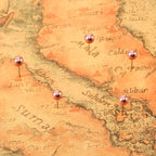 WILLBOND 500 Pack Map Push Pins Map Tacks Small Round Head Push Pins Thumb Tacks for Travel Picture Photo Bulletin Board Wall DIY Craft School Office Home(Rose Gold,1/8 Inch)