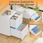 INTERGREAT 2 Drawer File Cabinet with Wheels, Metal Filling Cabinet with Lock, Locking Office Mobile Cabinet with Wheels for Legal/Letter Size, Under Desk, Easy Assemble, White