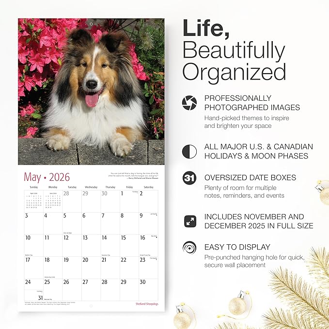 RED EMBER Shetland Sheepdogs 2026 Wall Calendar 12 Month | 12" x 24" Open | Thick & Sturdy Paper | Holiday Gift | Cute Sheltie Puppy Dog Calendar 2026