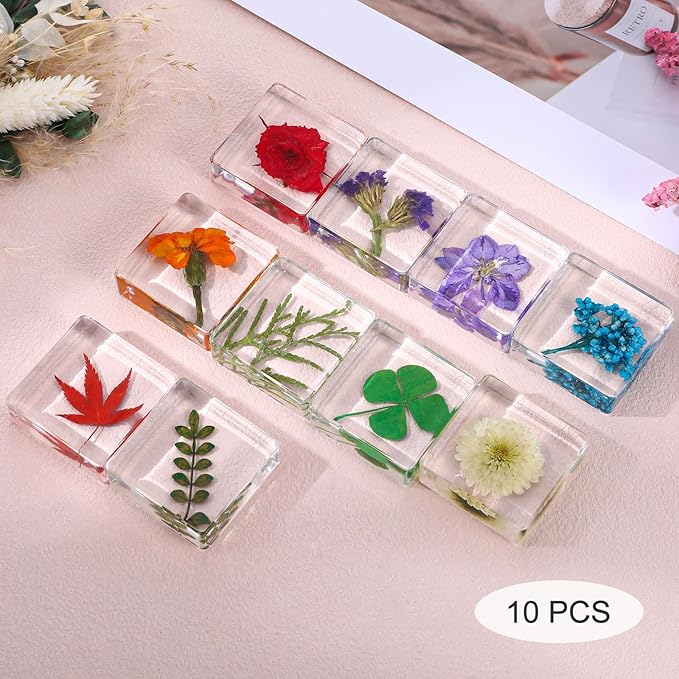 10Pcs Pressed Flower Paper Weights, Real Flower Resin Crafts, Pattern Weights,Paper Weights Decorative,Pressed Flower Ornament,Paper Weights for Office Desk,Specimen Collection for Science Educational