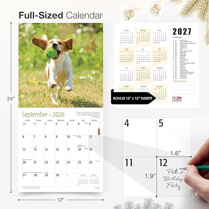 RED EMBER Beagles 2026 Wall Calendar 12 Month | 12" x 24" Open | Thick & Sturdy Paper | Holiday Gift | Cute Puppy Dog Calendar 2026
