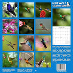 2026 Hummingbirds Monthly Wall Calendar | Animals Calendar 2025-2026