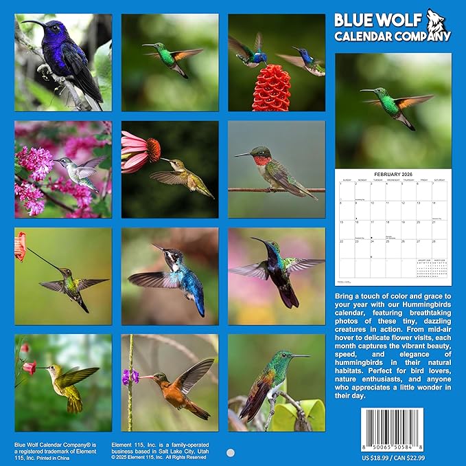2026 Hummingbirds Monthly Wall Calendar | Animals Calendar 2025-2026