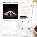 RED EMBER Catahoula Leopard Dogs 2026 Wall Calendar 12 Month | 12" x 24" Open | Thick & Sturdy Paper | Holiday Gift | Cute Puppy Dog Calendar 2026