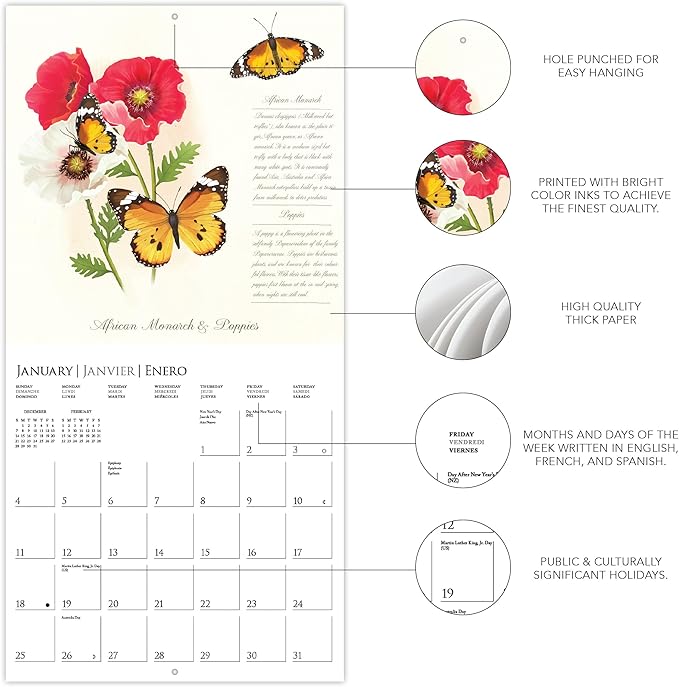 Graphique 2026 Butterflies Wall Calendar | 12” x 12” | Thick Paper | Home & Office Organizer | Large Monthly Grid | 3 Languages & Marked Holidays | 4 Month Preview Page for 2027