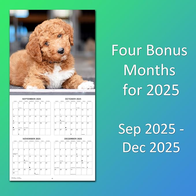 2026 Goldendoodles Monthly Wall Calendar | Cute Dog Calendar September 2025 - December 2026