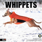 RED EMBER Whippets 2026 Wall Calendar 12 Month | 12" x 24" Open | Thick & Sturdy Paper | Holiday Gift | Cute Puppy Dog Calendar 2026