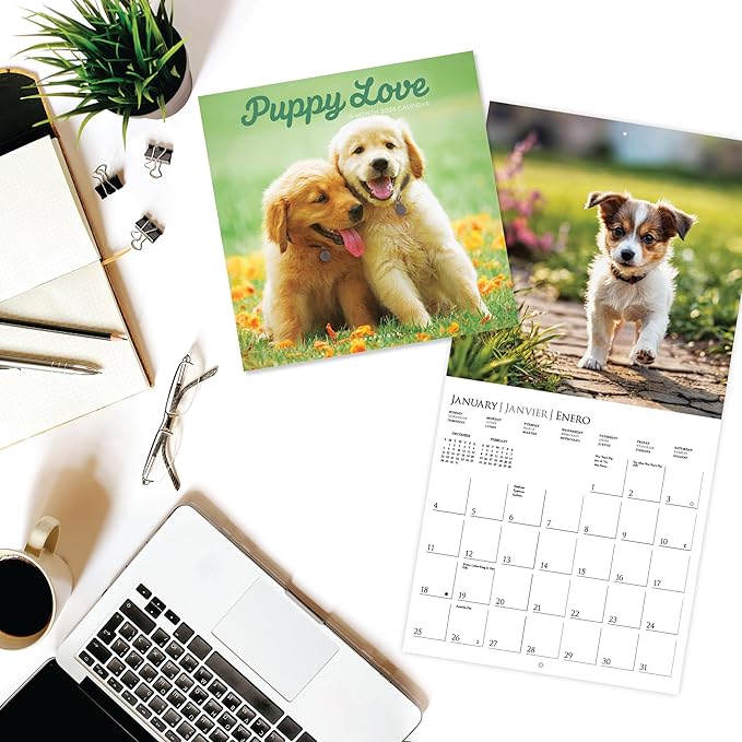 Graphique 2026 Puppy Love Wall Calendar | 12” x 12” | Thick Paper | Home & Office Organizer | Large Monthly Grid | 3 Languages & Marked Holidays | 4 Month Preview Page for 2027
