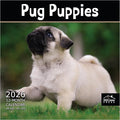 MICASA PRESS Pug Puppies 2026 Wall Calendar 12 Month | 12" x 24" Open | Thick & Sturdy Paper | Holiday Gift | Cute Puppy Dog Calendar 2026