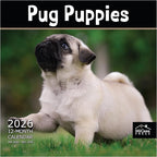 MICASA PRESS Pug Puppies 2026 Wall Calendar 12 Month | 12" x 24" Open | Thick & Sturdy Paper | Holiday Gift | Cute Puppy Dog Calendar 2026