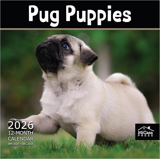 MICASA PRESS Pug Puppies 2026 Wall Calendar 12 Month | 12" x 24" Open | Thick & Sturdy Paper | Holiday Gift | Cute Puppy Dog Calendar 2026