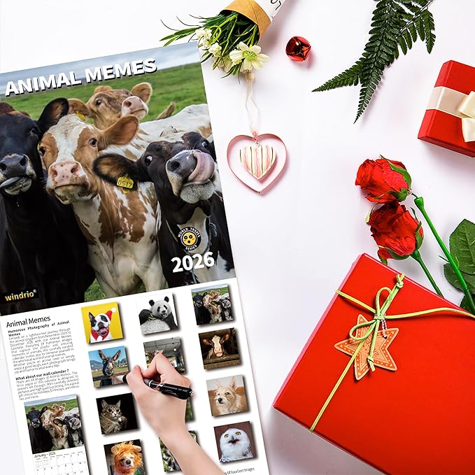 2026 Wall Calendar,Funny Calendar 2026, November 2025 - December 2026, Wall Calendar Funny Animal Memes, 12" x 24" Opened, Full Page 12 Months Thick Paper for Gift Calendar Organizing Planning