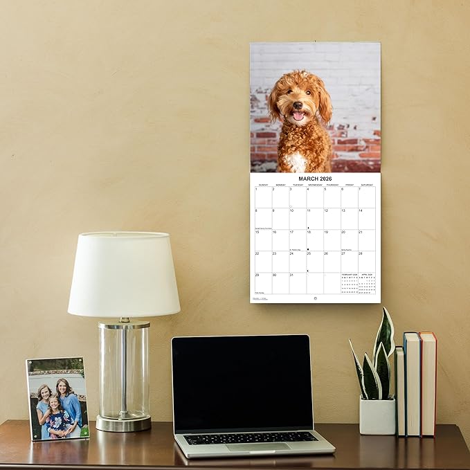2026 Goldendoodles Monthly Wall Calendar | Cute Dog Calendar September 2025 - December 2026