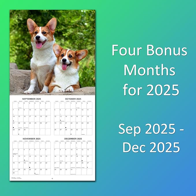 2026 Corgis Monthly Wall Calendar | Cute Dog Calendar September 2025 - December 2026