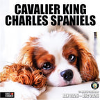 RED EMBER Cavalier King Charles Spaniels 2026 Wall Calendar 12 Month | 12" x 24" Open | Thick & Sturdy Paper | Holiday Gift | Cute Puppy Dog Calendar 2026