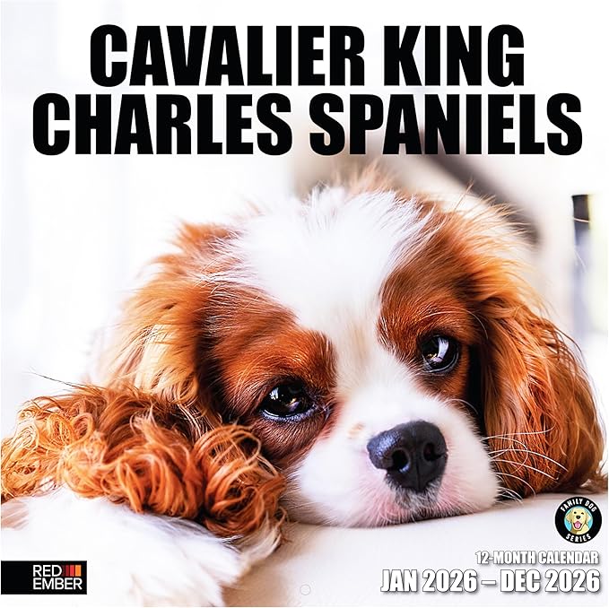 RED EMBER Cavalier King Charles Spaniels 2026 Wall Calendar 12 Month | 12" x 24" Open | Thick & Sturdy Paper | Holiday Gift | Cute Puppy Dog Calendar 2026