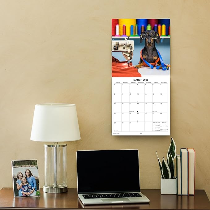 2026 Dachshunds at Work Weiner Dog Monthly Wall Calendar | Funny Wiener Dog Calendar September 2025 - December 2026