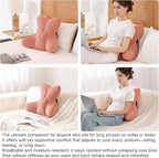 Ailuteie Lumbar Support Pillow(Pat. Pend) for Lower Back Pain Relief – Multi-Functional Ergonomic Lumbar Cushion, Reading Pillow for Office Chair, Car Seat & Sofa,Blush Pink