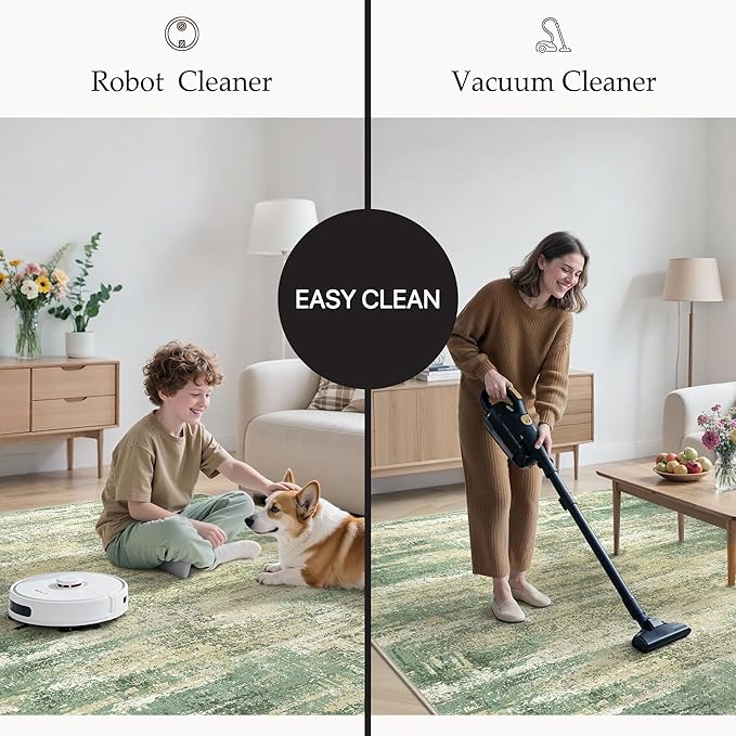 GENIMO Rugs for Bedroom-Washable 6x9 Area Rugs Lightweight Low Pile, Modern Printed Non-Slip Carpet for Living Room, Playroom, Dining Room, Office, Desert Dawn